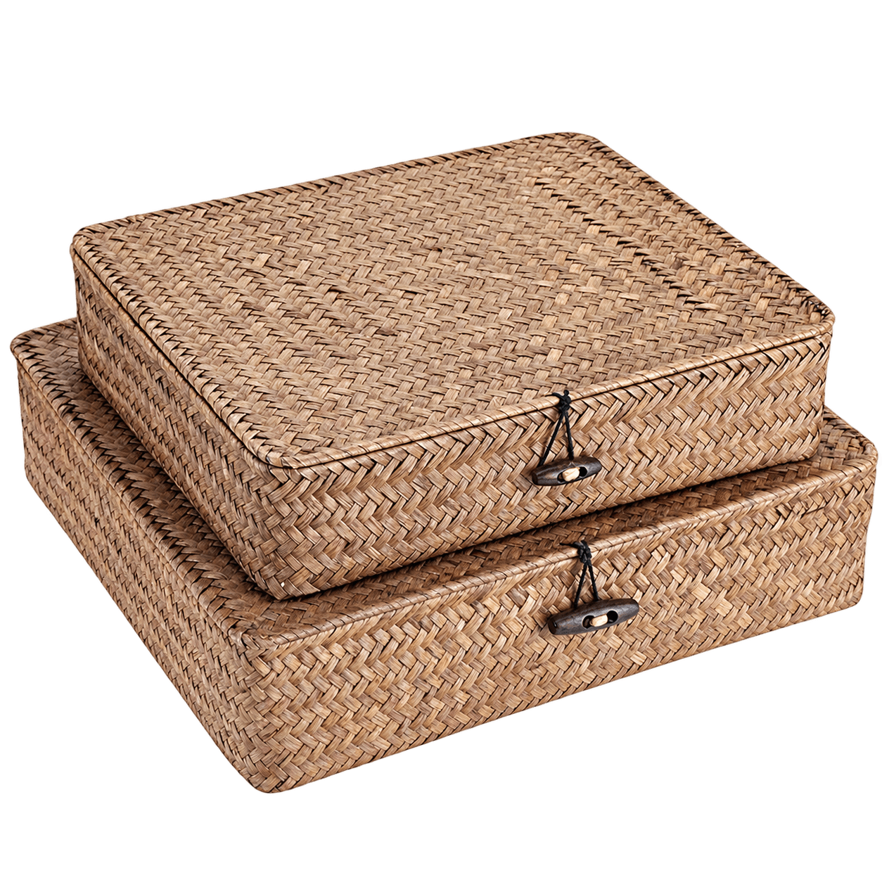 Hipiwe Seagrass Storage Baskets with Lids, Set of 2 (Demo)